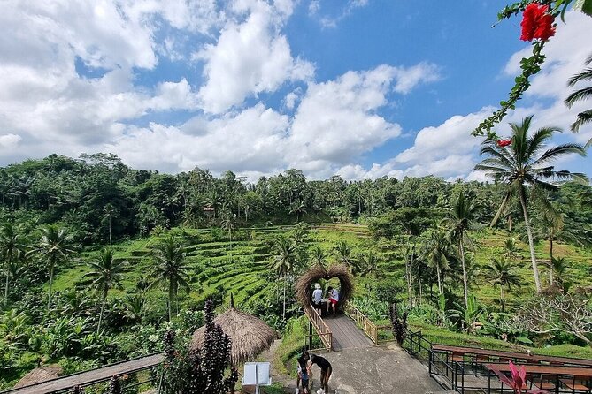 Best of Ubud Private Tour with Jungle Swing Experience - A full Ubud sampler with one big photo stop