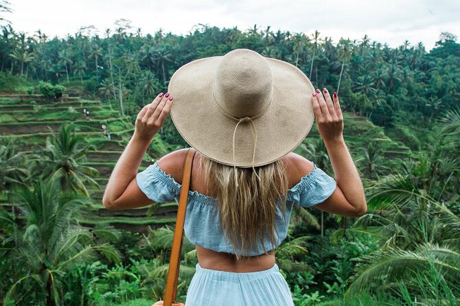 Best of Ubud: Rice Terrace, Temple and Waterfall Private Tour - Why a private Ubud day makes sense