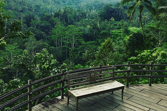 Best of Ubud: Rice Terrace, Temple and Waterfall Private Tour - Monkey Forest combines trees, temples, and caution