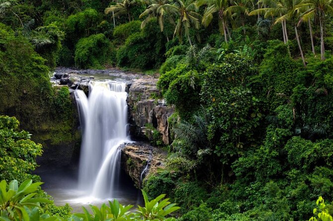 Best of Ubud: Rice Terrace, Temple and Waterfall Private Tour - Temples and villages can fill the spare hours