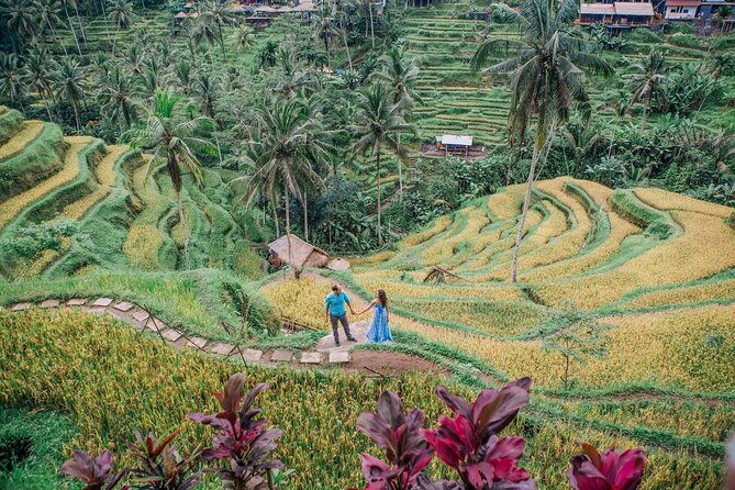 Best of Ubud’s Highlights Full-Day Tour - Why this private Ubud day works