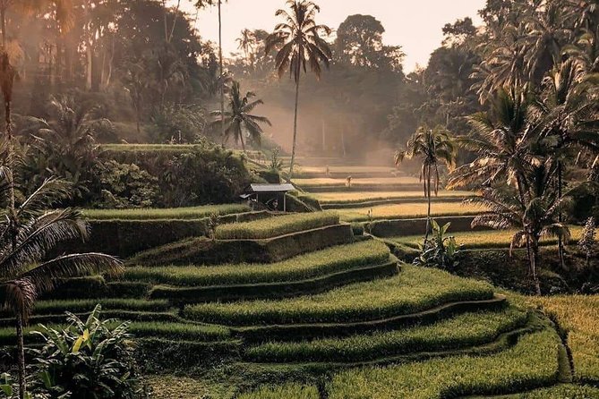 Best of Ubud Waterfalls, Tegalalang Rice Terrace and Swing Tour - Tibumana Waterfall and a calmer photo setting