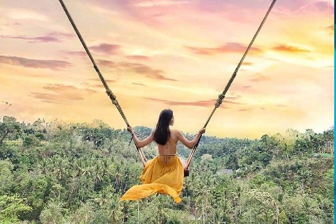 Best of Ubud Waterfalls, Tegalalang Rice Terrace and Swing Tour - What the private car and guide add