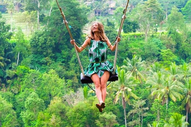Best of Ubud with Jungle Swing Experience - Tegalalang Rice Terrace and the Bali irrigation system