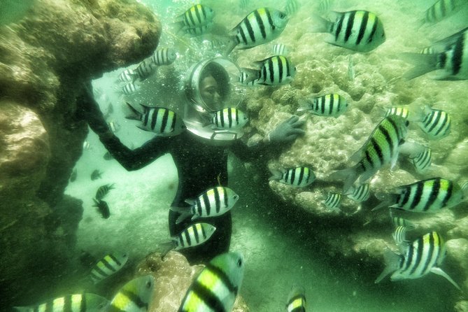 Best Package 3 in One Water Sport - The main question: will the water be clear?