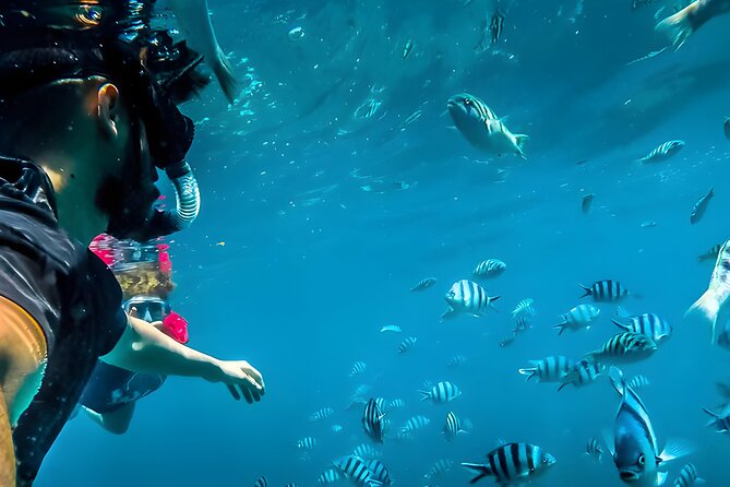 Best Snorkeling Activity in Blue Lagoon Beach Bali - A seven-hour day from pickup to Padangbai
