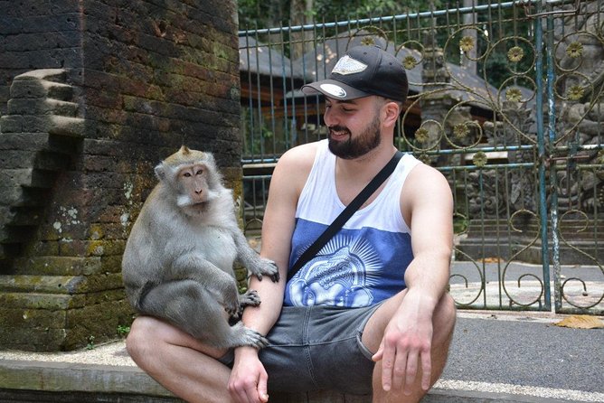 Best Ubud & Tanah Lot Excursion - Meeting the macaques at Sacred Monkey Forest Sanctuary