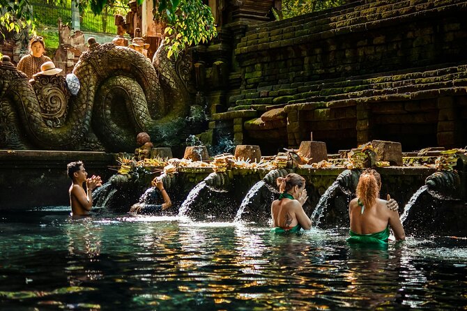 Best Ubud Tour Private Tour All Inclusive Package - Five Ubud highlights from a private Kuta pickup