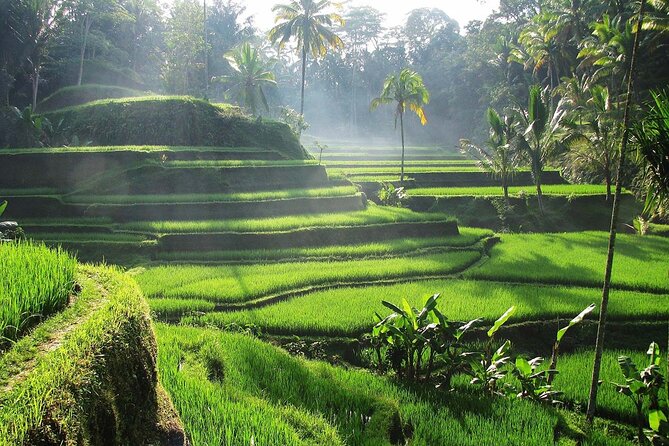 Best Ubud Tour Private Tour All Inclusive Package - Happy Swing Bali and the practical side of the photo stop