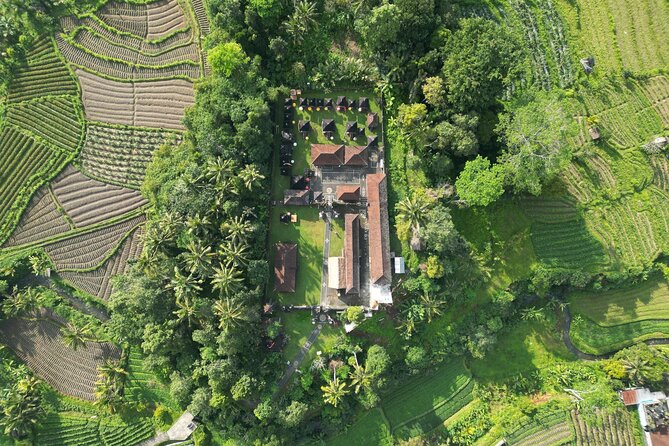 Best Ubud Tour Private Tour All Inclusive Package - What the private driver adds to the day