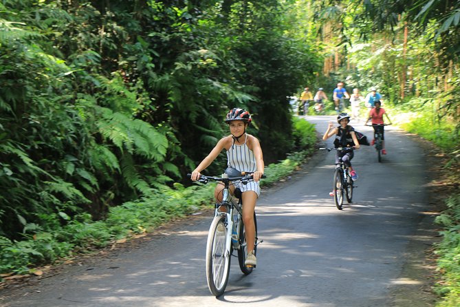 Bike ride in the rice fields, Bali countryside - What the bike ride is really like