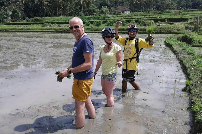 Bike ride in the rice fields, Bali countryside - Coconut shade and a practical break