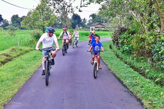 Bike ride in the rice fields, Bali countryside - The value of $78