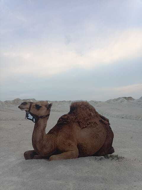 Bintan Desert And Blue Lake Private Tour - What the $20 price really covers