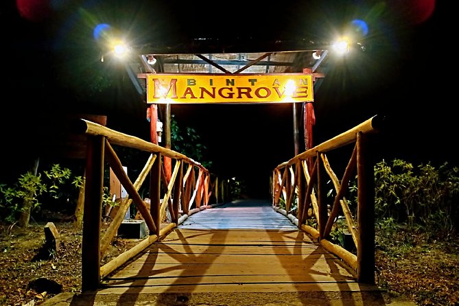 Bintan Fireflies Discovery Tour - What you see in the mangroves