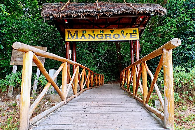 Bintan Mangrove Discovery Tour - Key points to know before you go