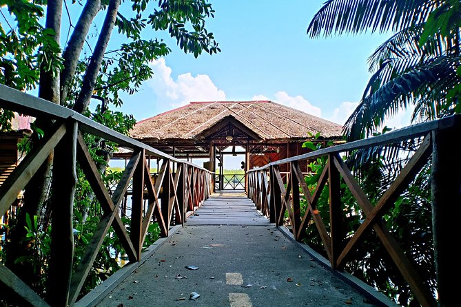 Bintan Mangrove Discovery Tour - A quiet look at Bintan’s mangrove forest