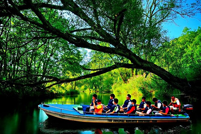 Bintan Mangrove Discovery Tour - Why the private boat changes the experience