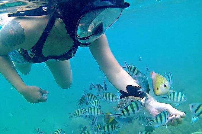 Bintan Snorkeling Tour - Snacks, drinks, and a practical break