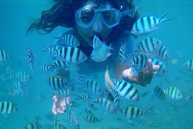 Bintan Snorkeling Tour - Private service and the human side of the tour