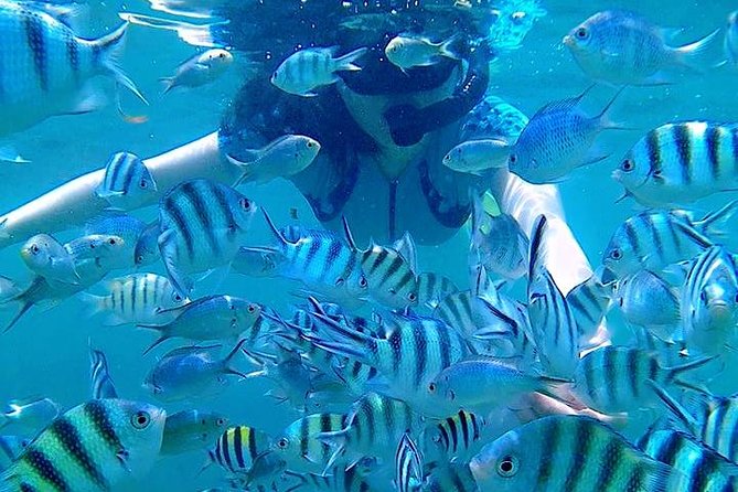 Bintan Snorkeling Tour - Value at $50.03 per person