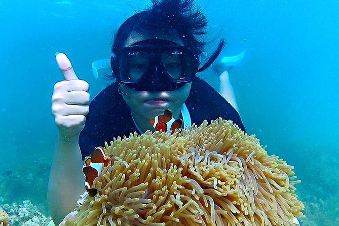 Bintan Snorkeling Tour - FAQ