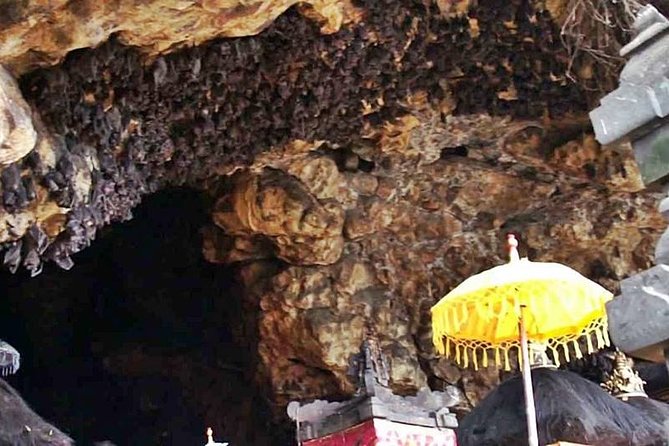 Blow Lagoon Bali Snorkeling and see Bali Bats Cave Temple - Who will get the most from this day