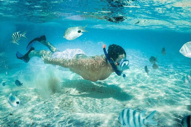 Blow Lagoon Bali Snorkeling and see Bali Bats Cave Temple - The private drive to Padang Bai