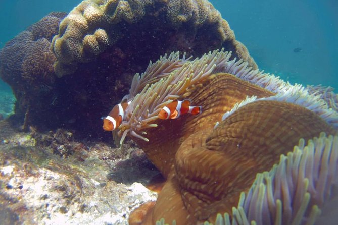 Blue Lagoon Bali Snorkeling Experience - Guides, boats, and the human side of the trip