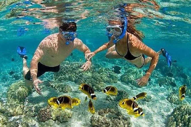 Blue Lagoon Snorkeling and Lunch - Kanto Lampo - Suwat Waterfall - All inclusive - Timing, fitness, and what to pack