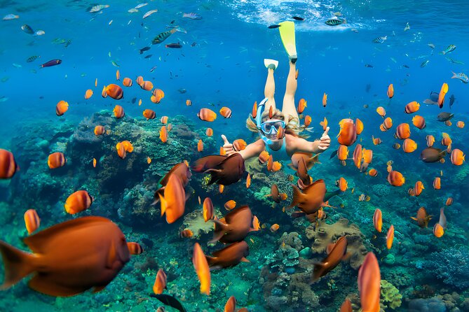 Blue Lagoon Snorkeling and Uluwatu Sunset Tour - Jimbaran Beach closes the tour with seafood