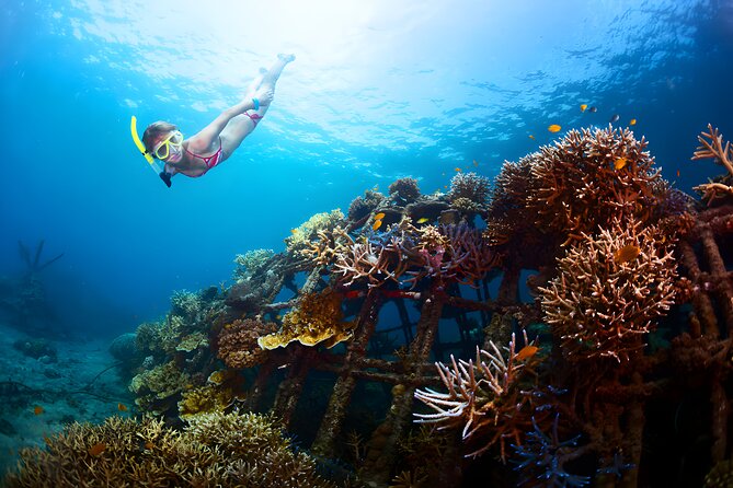 Blue Lagoon Snorkeling - Bali Best Snorkeling Site - Reaching Blue Lagoon from Seminyak or Ubud