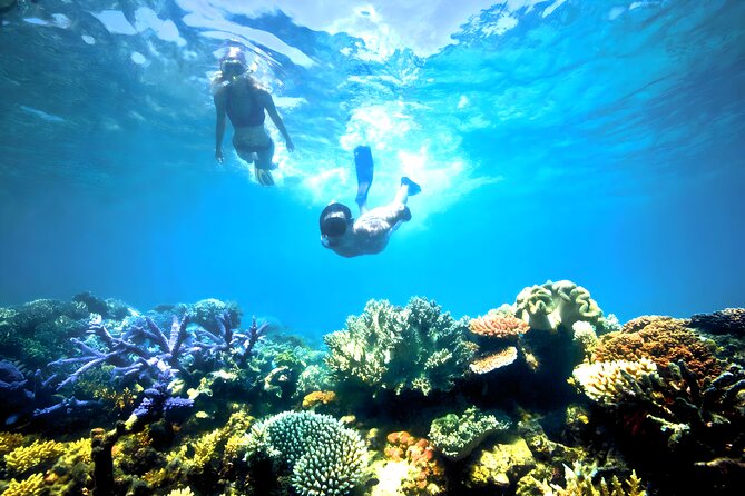 Blue Lagoon Snorkeling - Bali Best Snorkeling Site - Morning or afternoon snorkeling