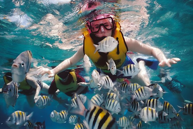Blue Lagoon Snorkeling - Bali Best Snorkeling Site - Who will enjoy this outing most