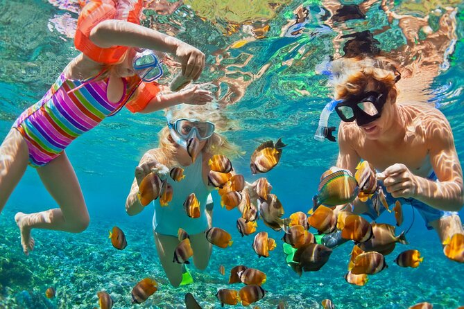 Blue Lagoon Snorkeling - Cave Waterfall - And More - All Included + FREE Wi-Fi - One long Bali day, with sea and jungle in the same plan