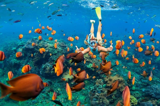 Blue Lagoon Snorkeling - Jungle Swing - Ubud - All Inclusive - My Swing Bali brings the photo stop