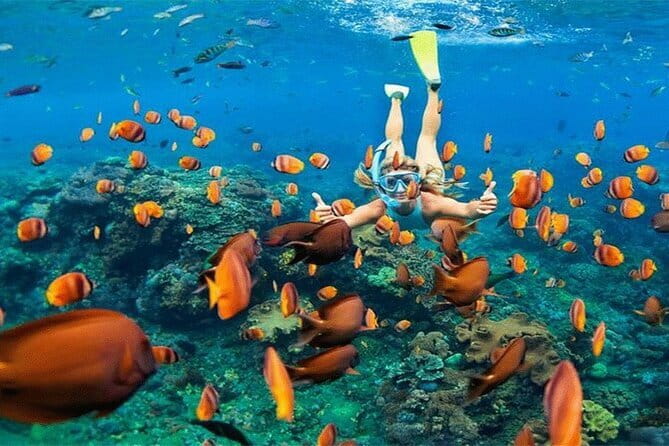 Blue Lagoon Snorkeling with Lunch and Private Transport - Lunch and the question of value