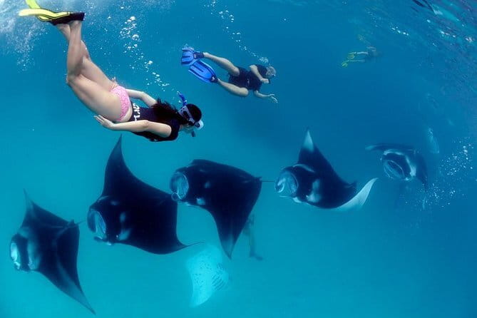 Blue Lagoon Snorkeling with Lunch and Private Transport - Who will enjoy this most