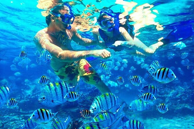 Blue Lagoon Snorkeling with Lunch and Waterfall in Ubud - What the two snorkeling stops are like