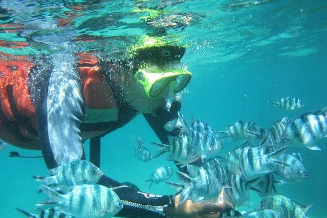 Blue Lagoon Snorkeling with Lunch and Waterfall in Ubud - Who should book this experience?