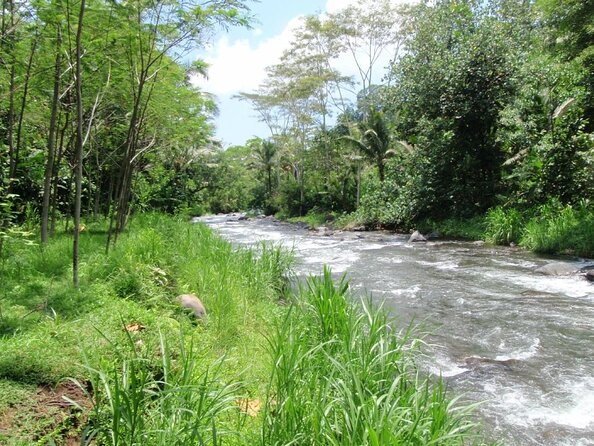 BMW Bali Rafting + Flying Fox at Telaga Waja River (LESS STAIRS) - Why Telaga Waja makes a good rafting day
