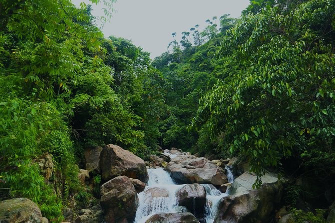 Bogor Botanical Garden & Rainforest Trekking to Hidden Waterfall - Bogor Botanical Garden and its 1817 roots