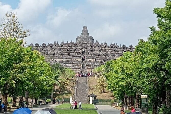 Borobudur, Prambanan, Bromo, & Ijen (Private car) - Ijen Crater and the chance to see blue fire