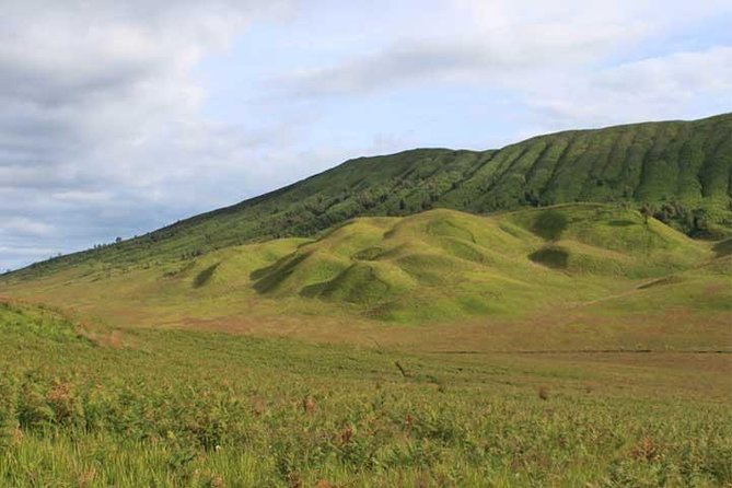 Bromo panorama tour to avoid the crowds - start Malang // 1 day tour - The 5:00 am drive through Tumpang