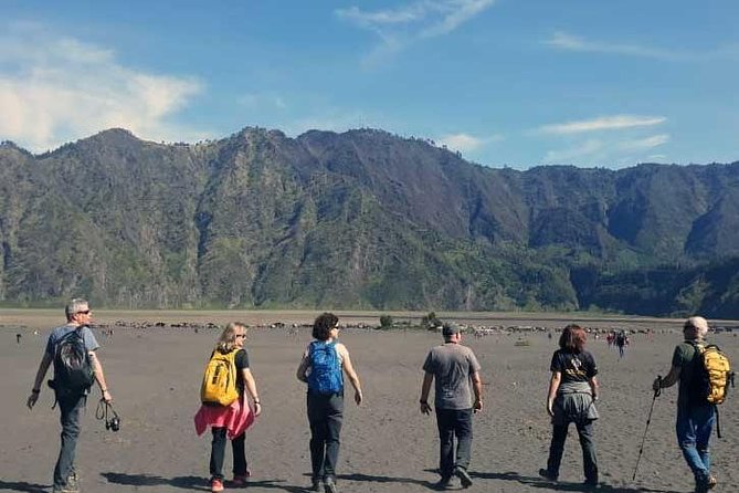 Bromo sunrise tour via Tumpang - start Malang // 1 day tour - Cold coffee at Gunung Penanjakan