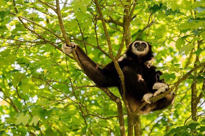 Bukit Lawang Full Day Jungle Trek - Cancellation and timing details