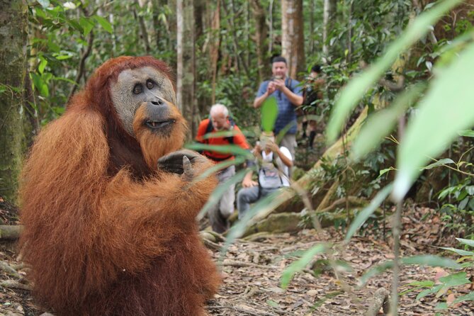 Bukit lawang tour 3days-2 night jungle trekking including rafting - Riverside camping and jungle food