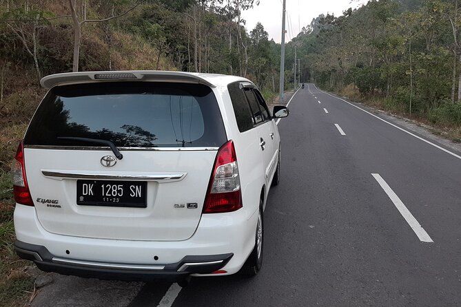 Candidasa Private Car with English Speaking Driver - Tegenungan Waterfall and the first taste of Ubud