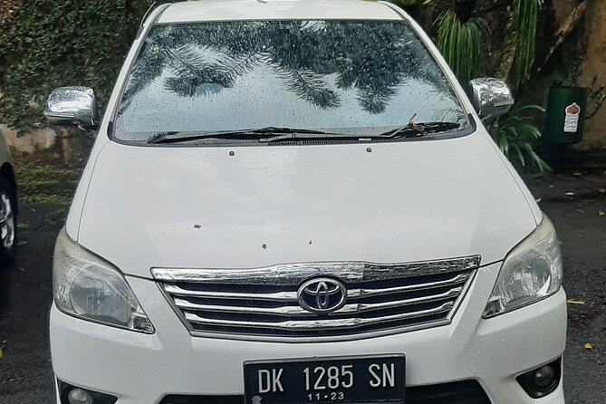 Candidasa Private Car with English Speaking Driver - Satria Agrowisata and traditional coffee making