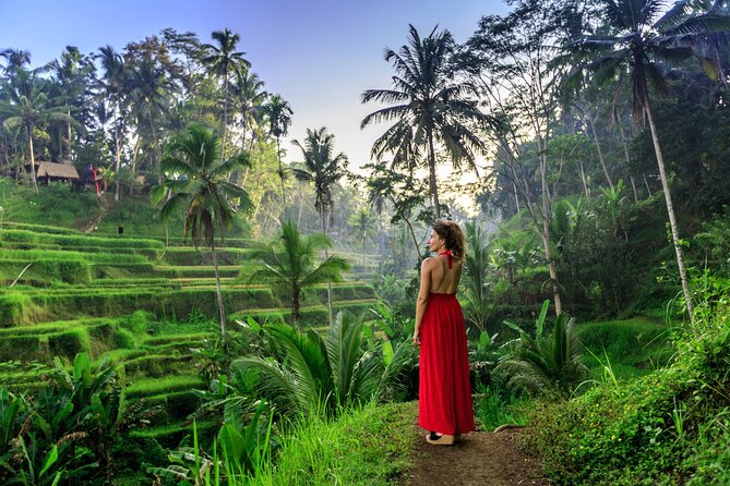 Cave Tubing Adventure & Rice terrace - Choosing between rice terraces, ATVs, e-bikes, and ziplining